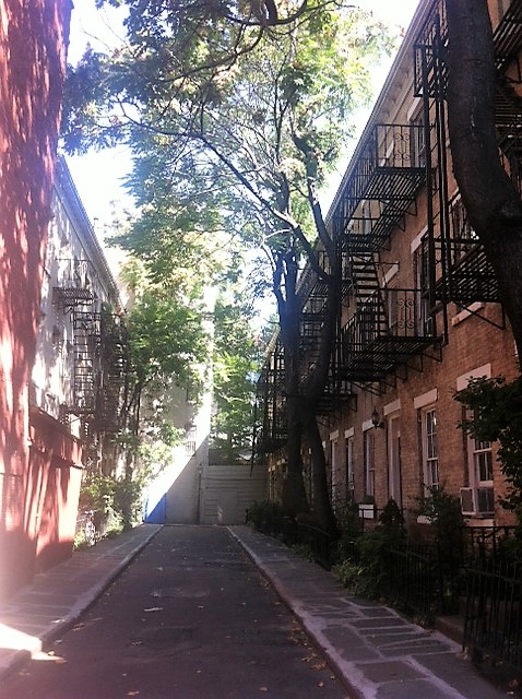 Patchin Place The Official Home Of Ray Crozier